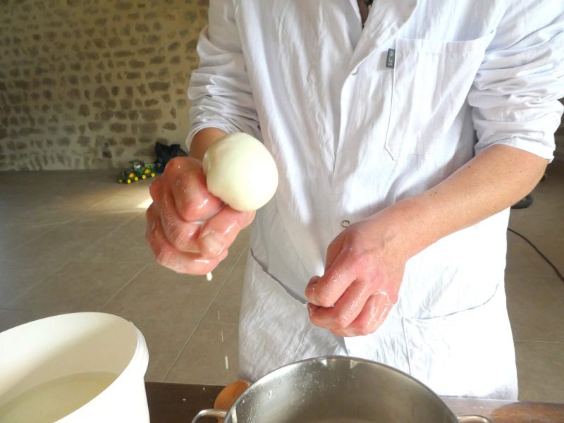mozzarella haute loire