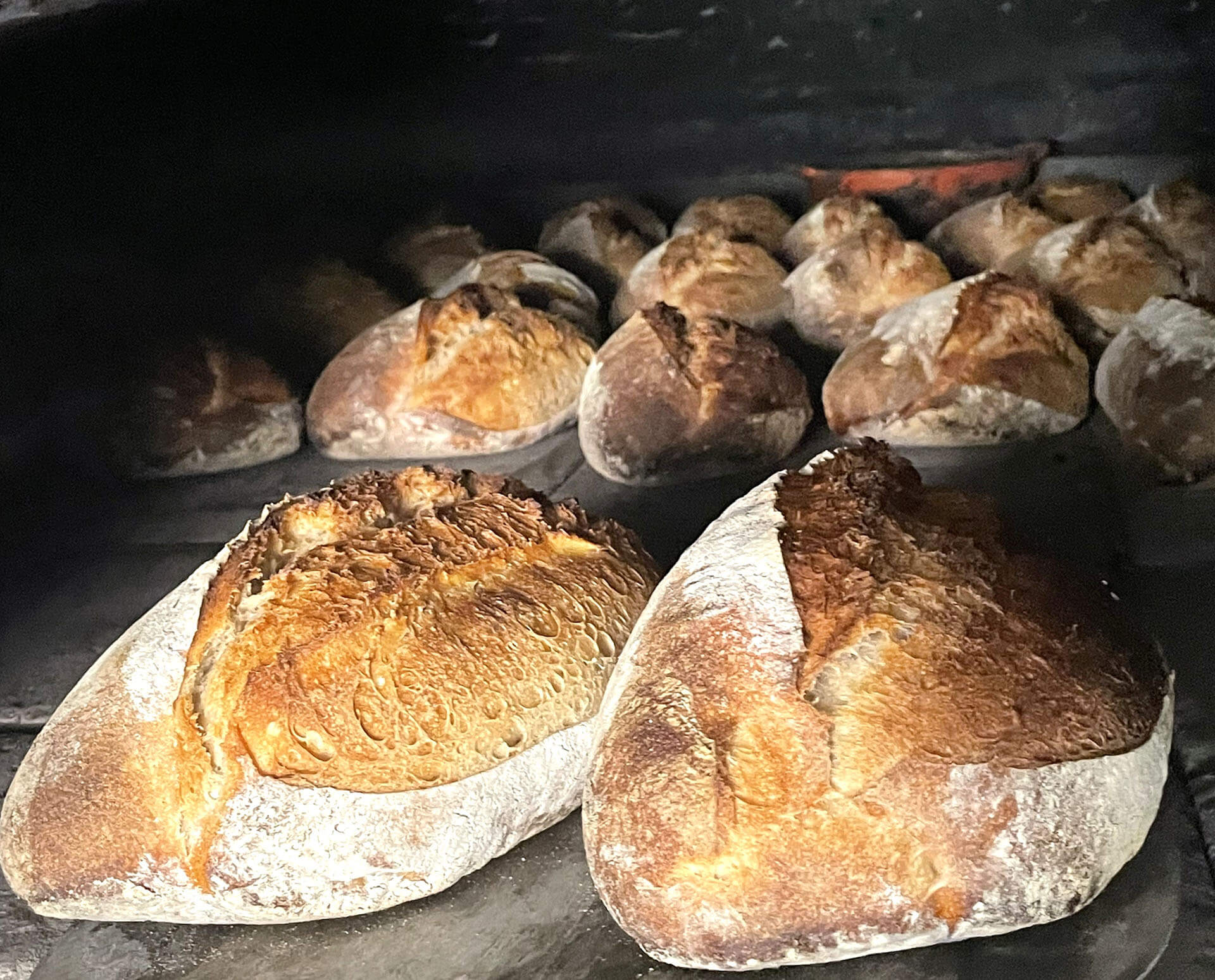 ferme-de-sabadel-velay-attractivite (1)