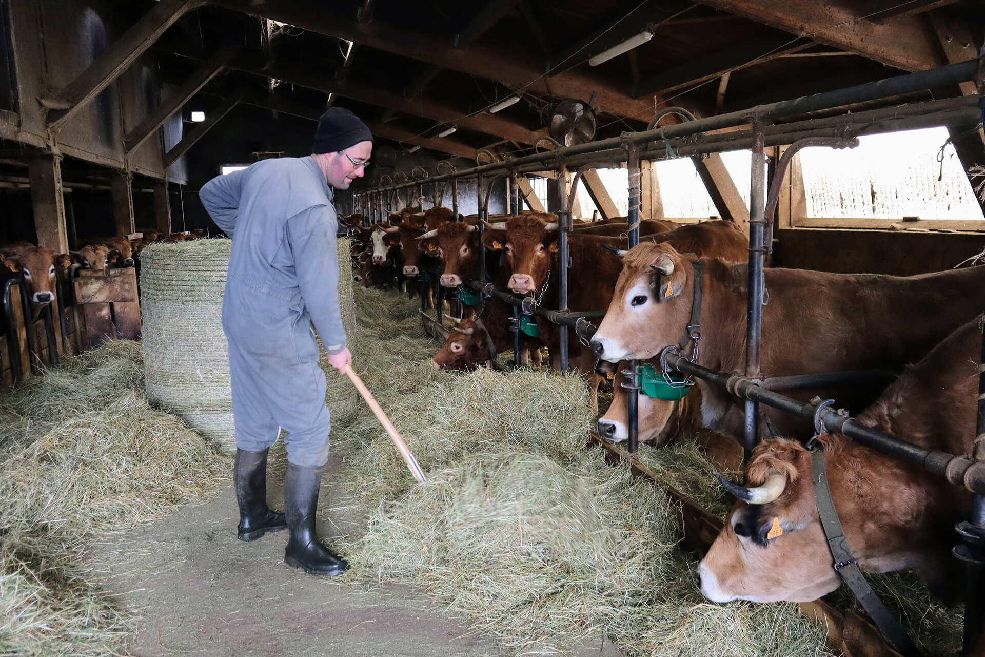 fin-gras-du-mezenc-velay-attractivite (3)