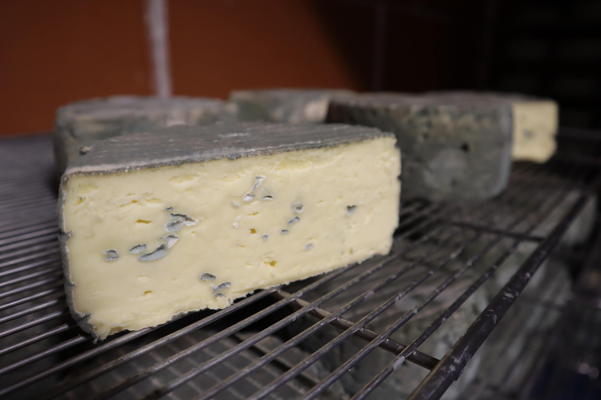 fromages-roche-d-or-velay-attractivite (3)