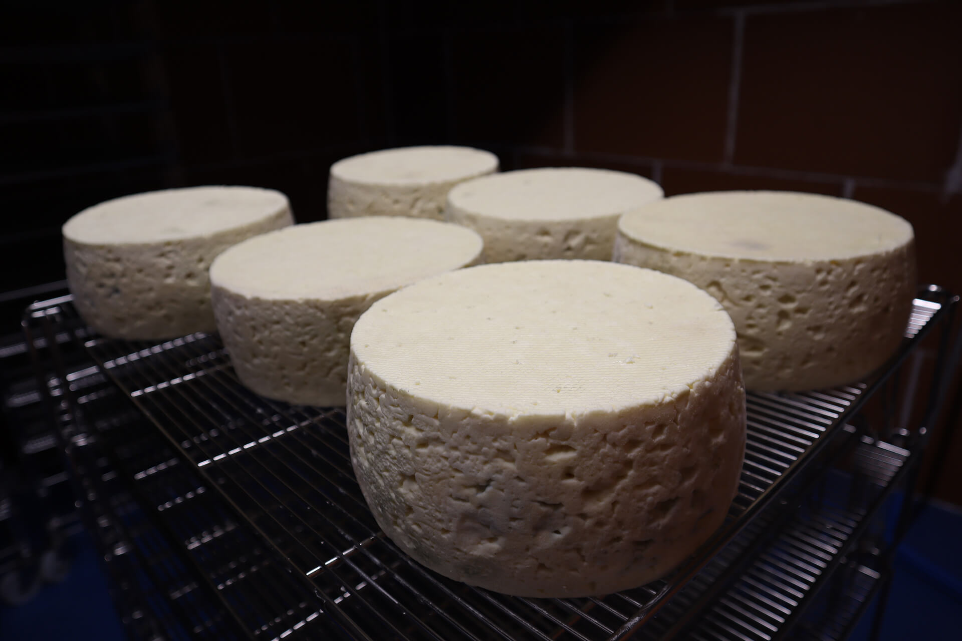 fromages-roche-d-or-velay-attractivite (6)