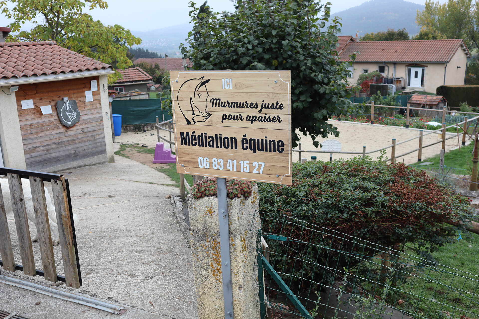 murmures-mediation-animale-velay-attractivite (1)