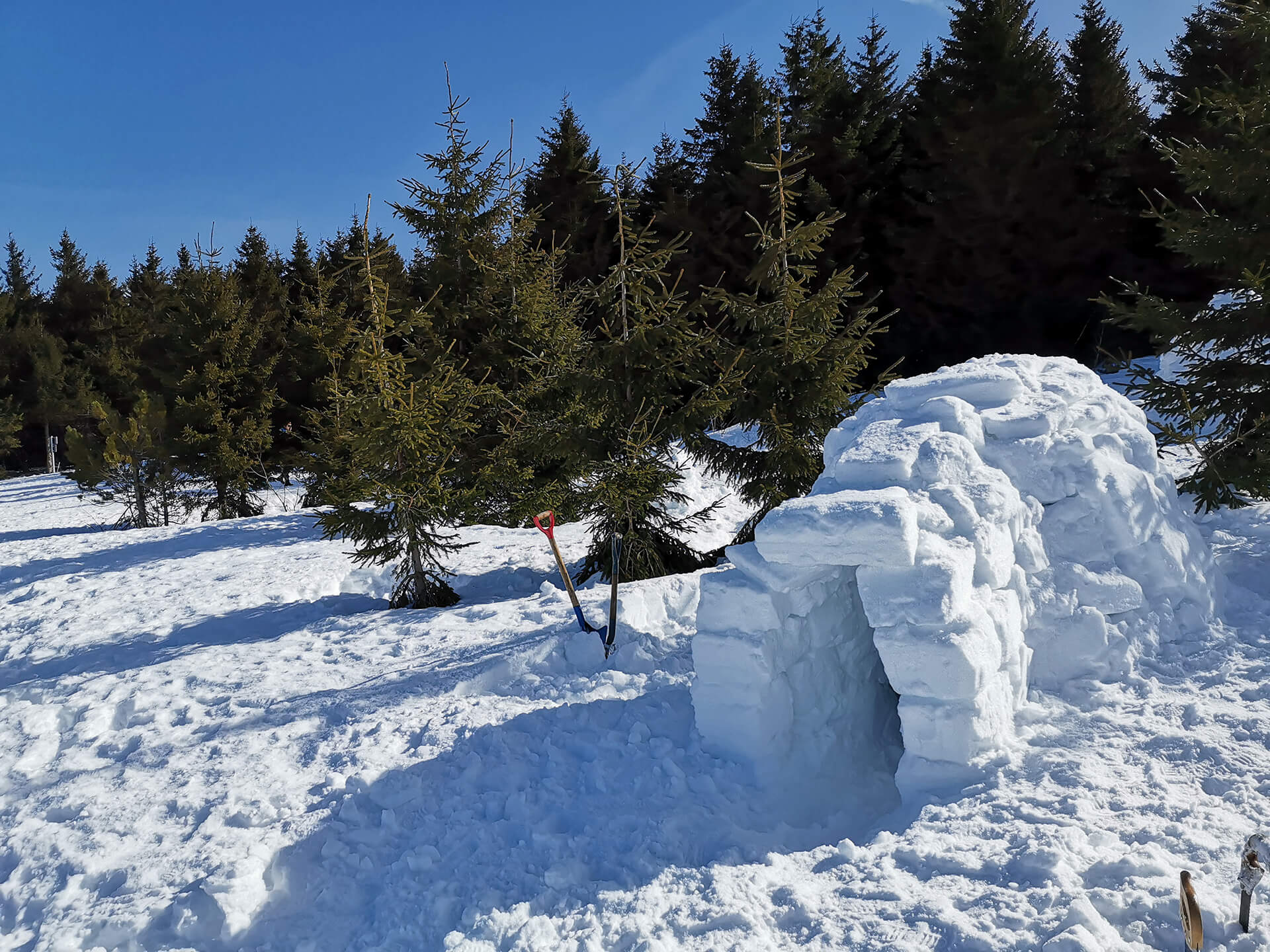 guide-nature-randonnee-velay-attractivite (3)