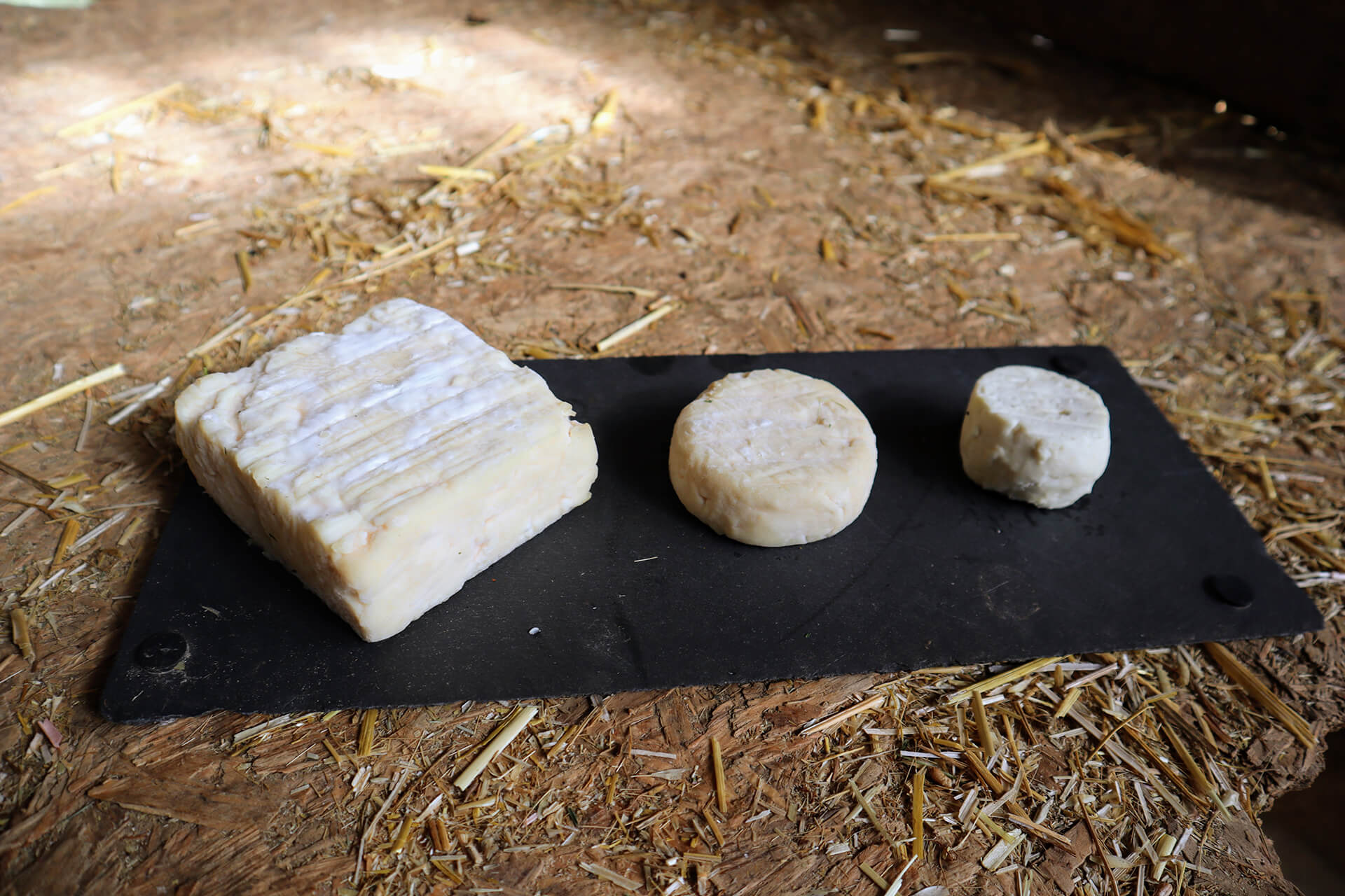 fromages-gaec-saint-mau-velay-attractivite (11)