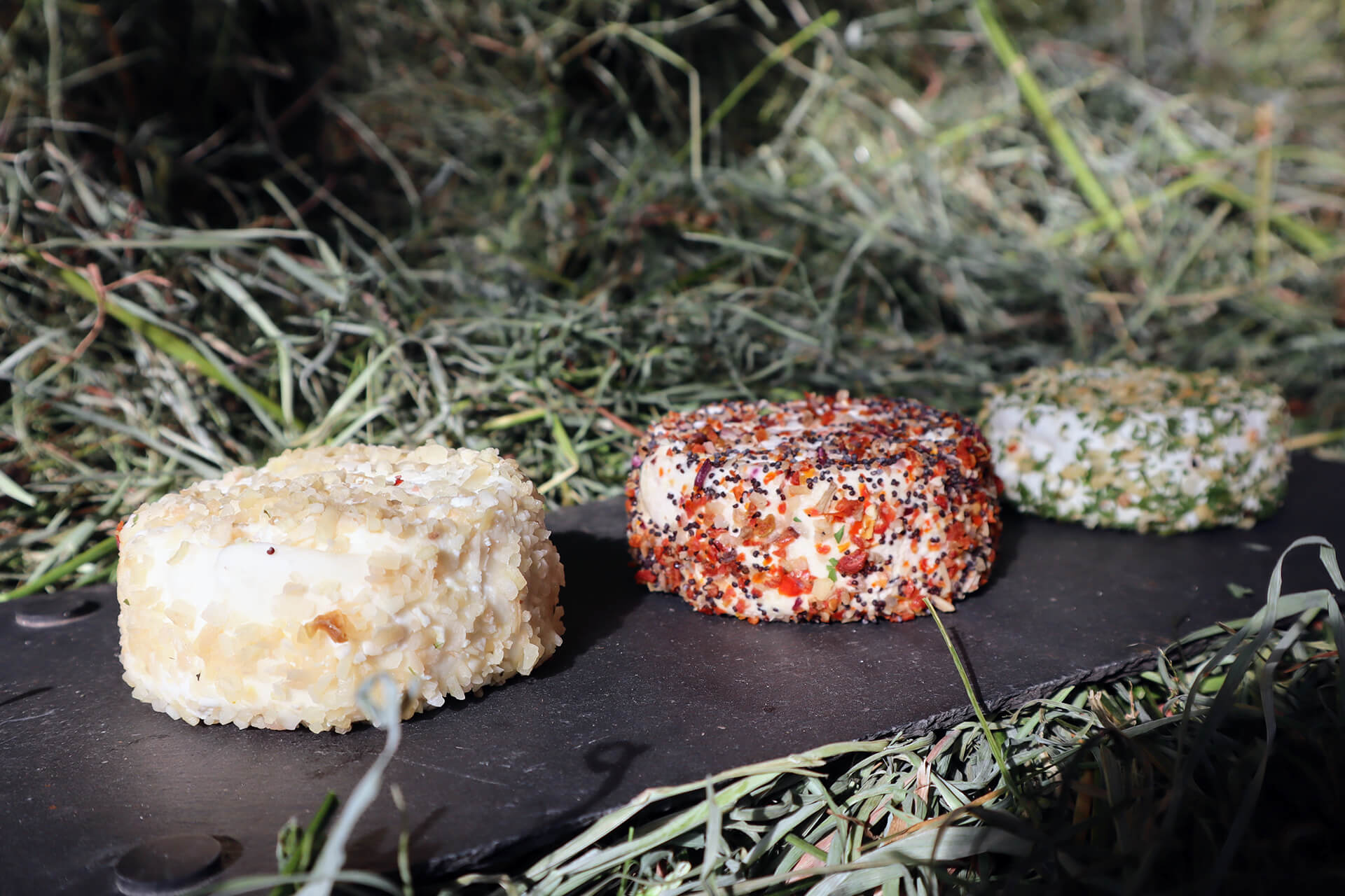 fromages-gaec-saint-mau-velay-attractivite (9)