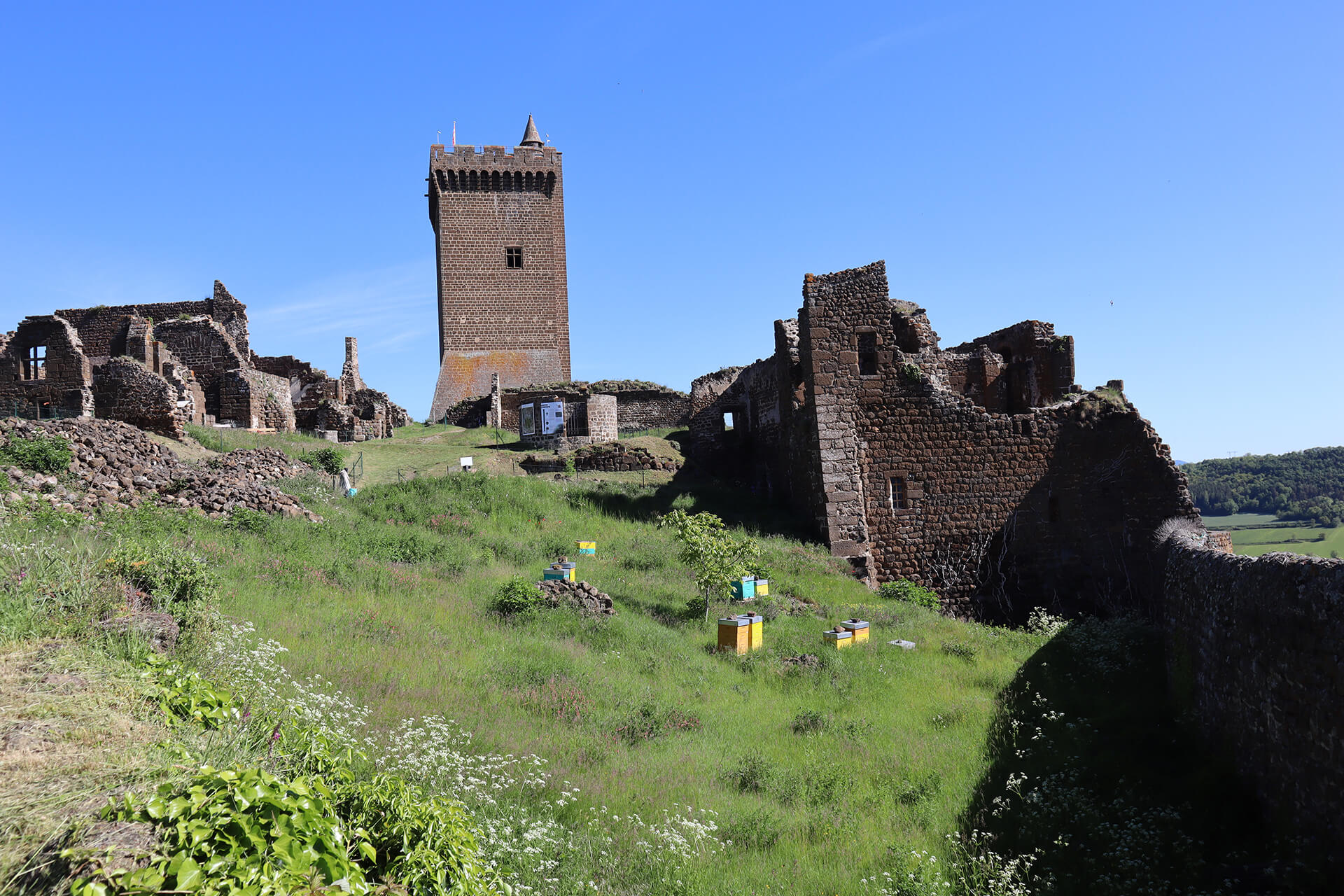 atelier-apiculture-forteresse-polignac-velay-attractivite (2)
