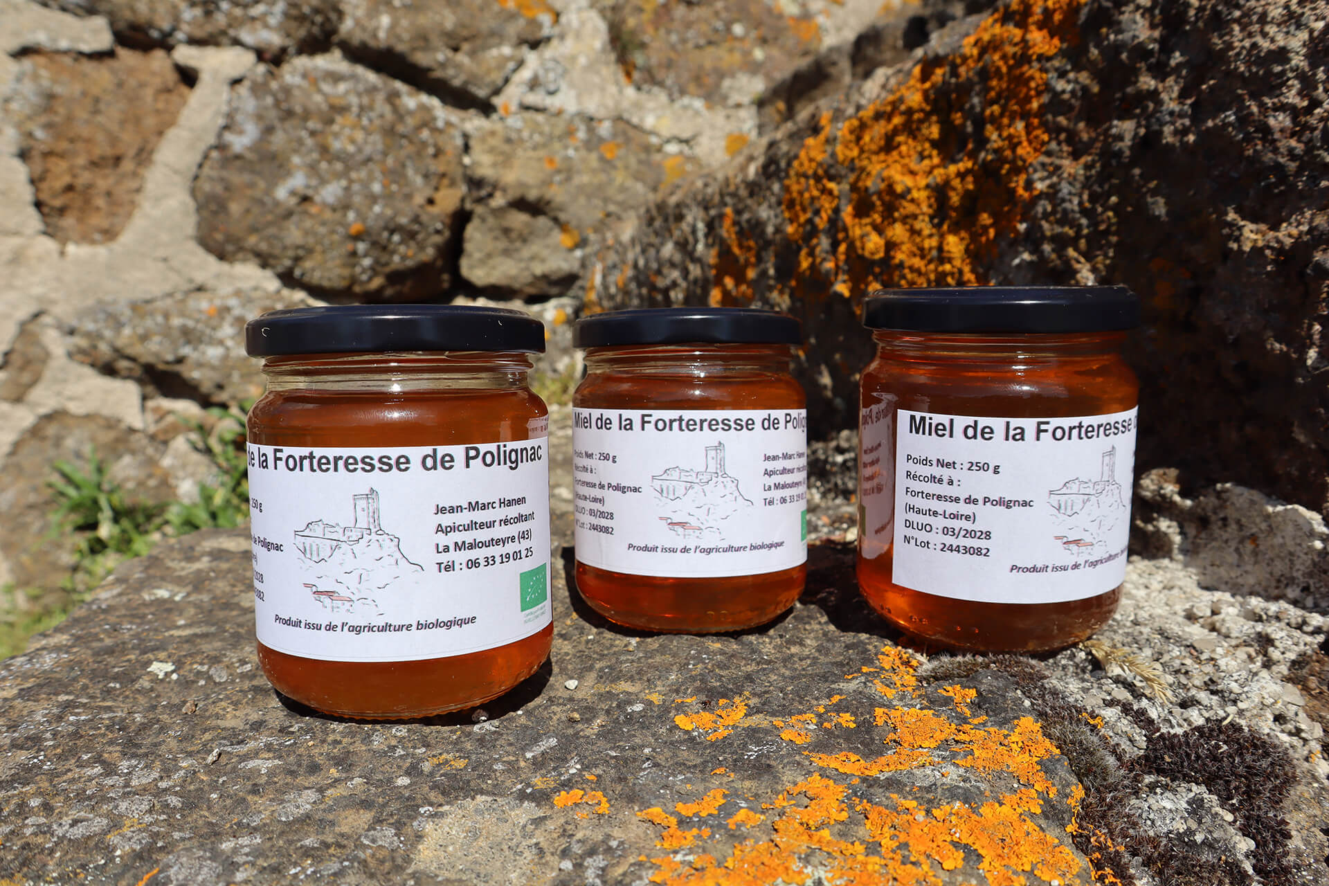 atelier-apiculture-forteresse-polignac-velay-attractivite (8)