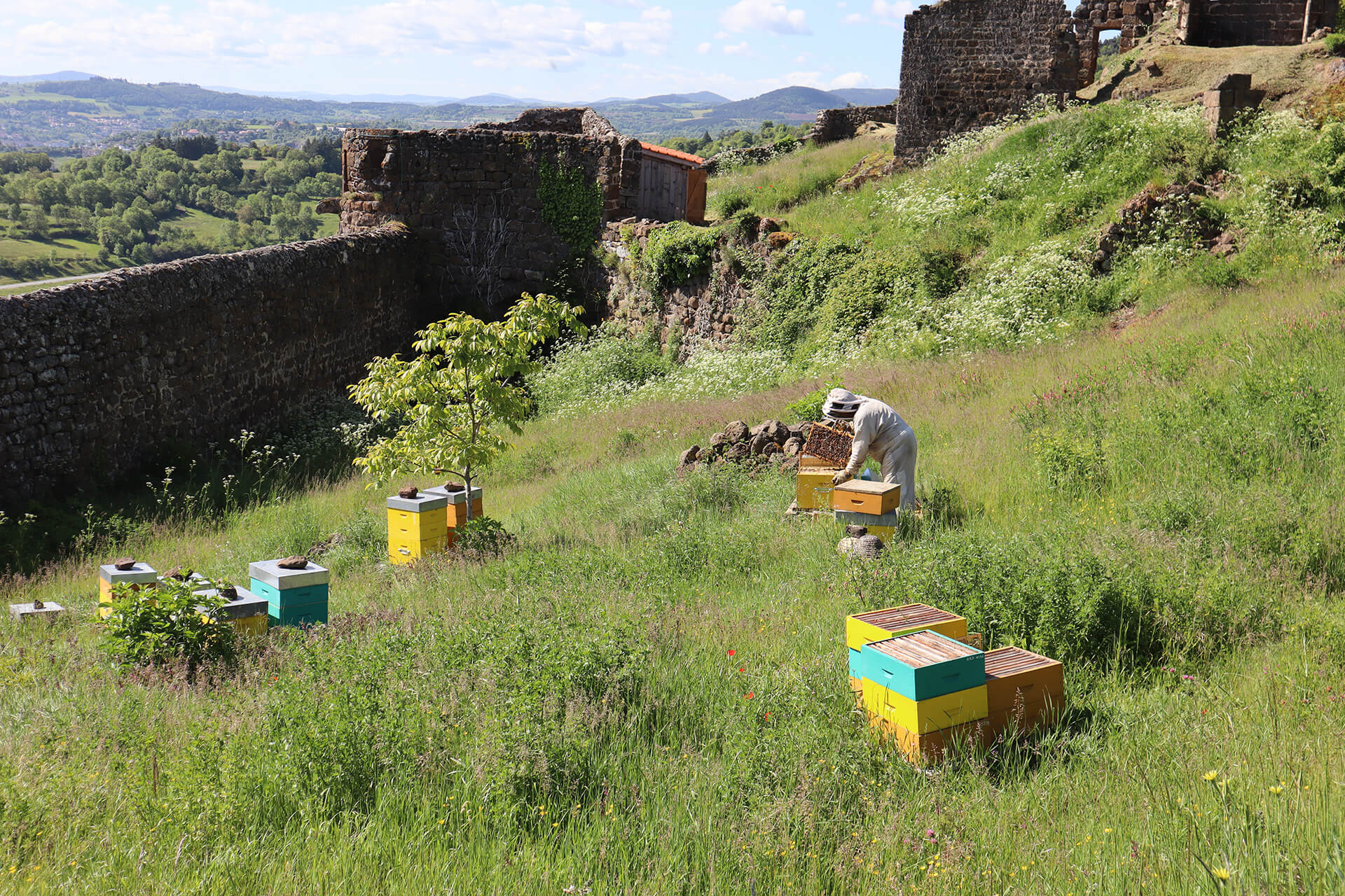 atelier-apiculture-forteresse-polignac-velay-attractivite (9)