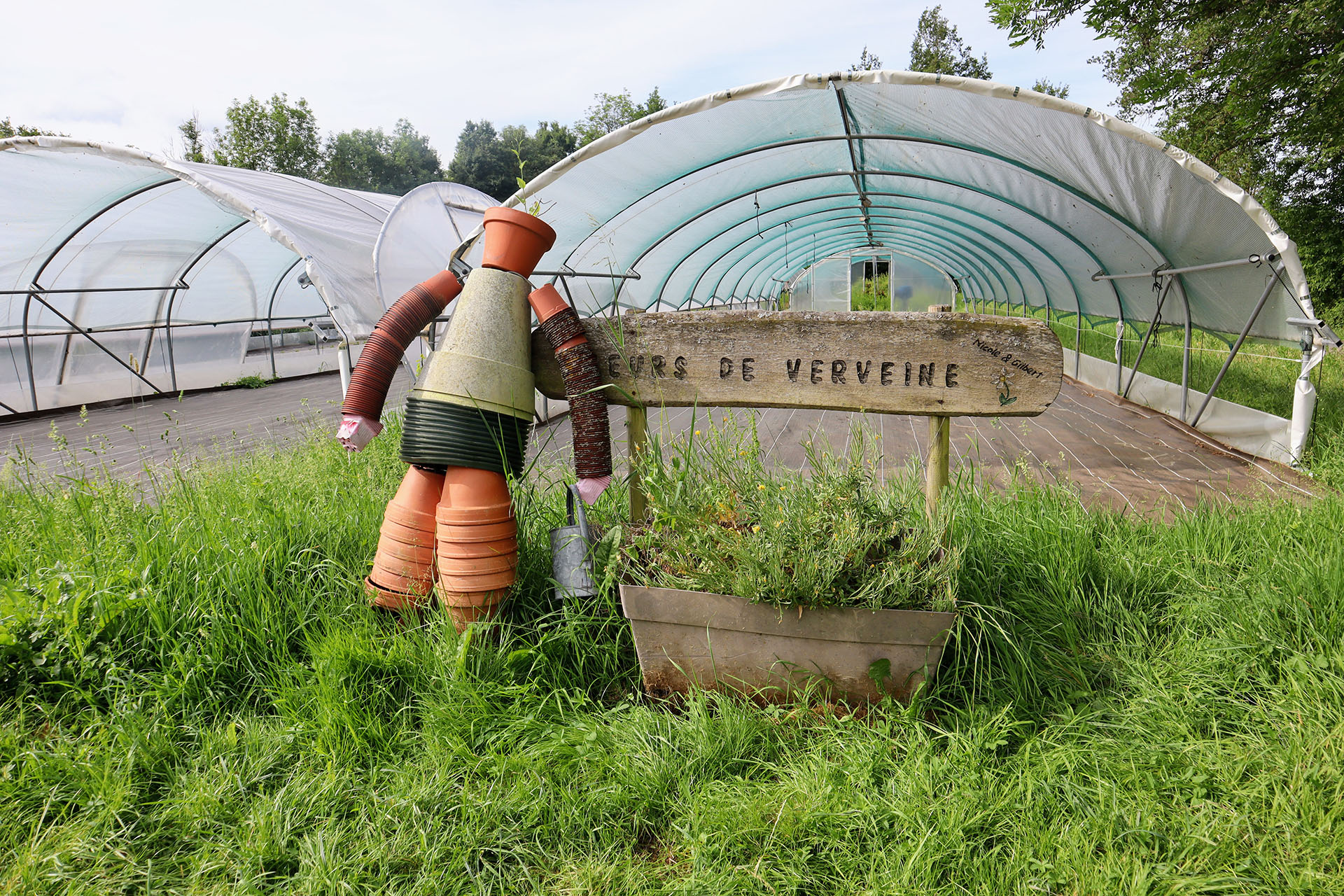 fleurs-de-verveine-velay-attractivite (2)