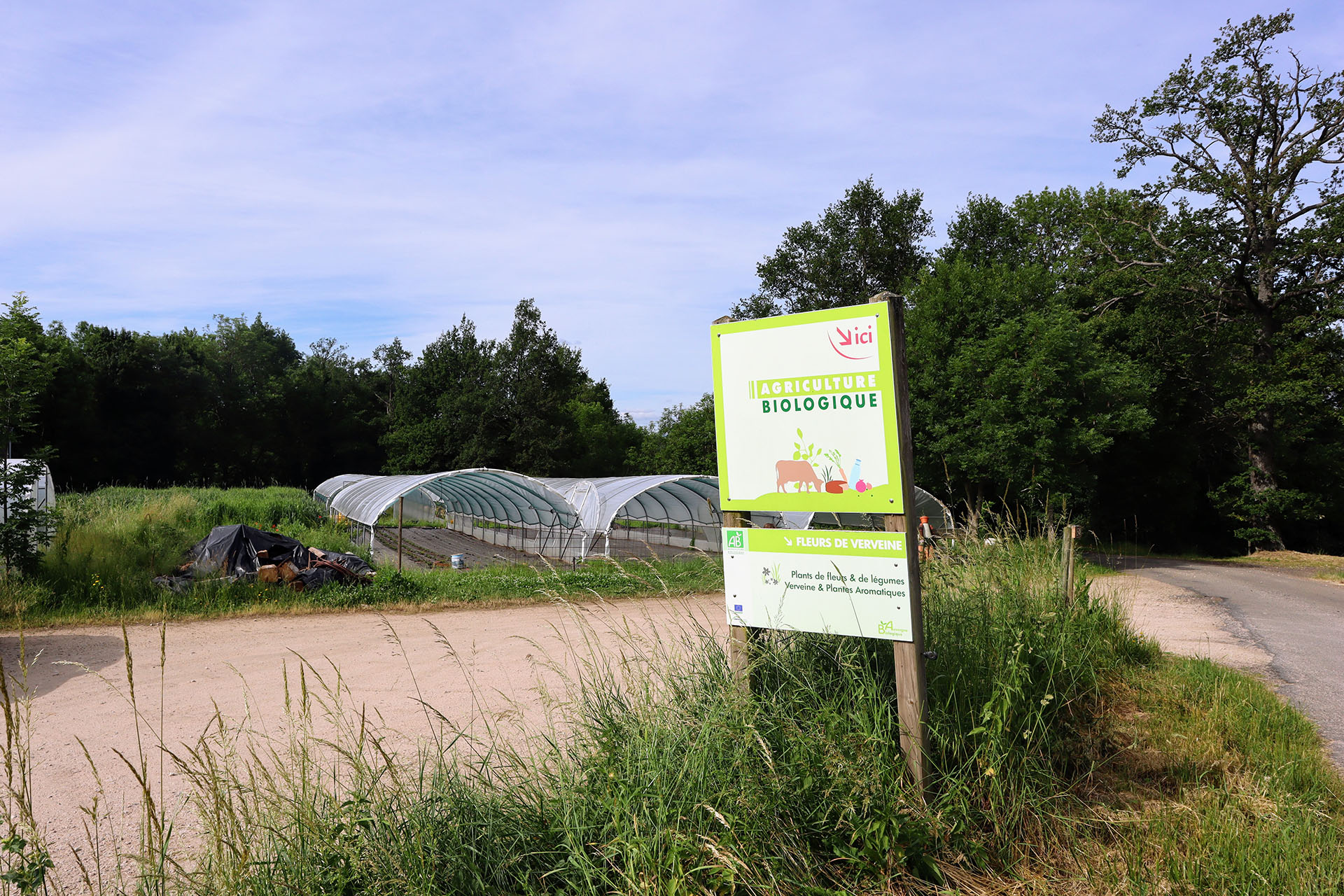fleurs-de-verveine-velay-attractivite (3)