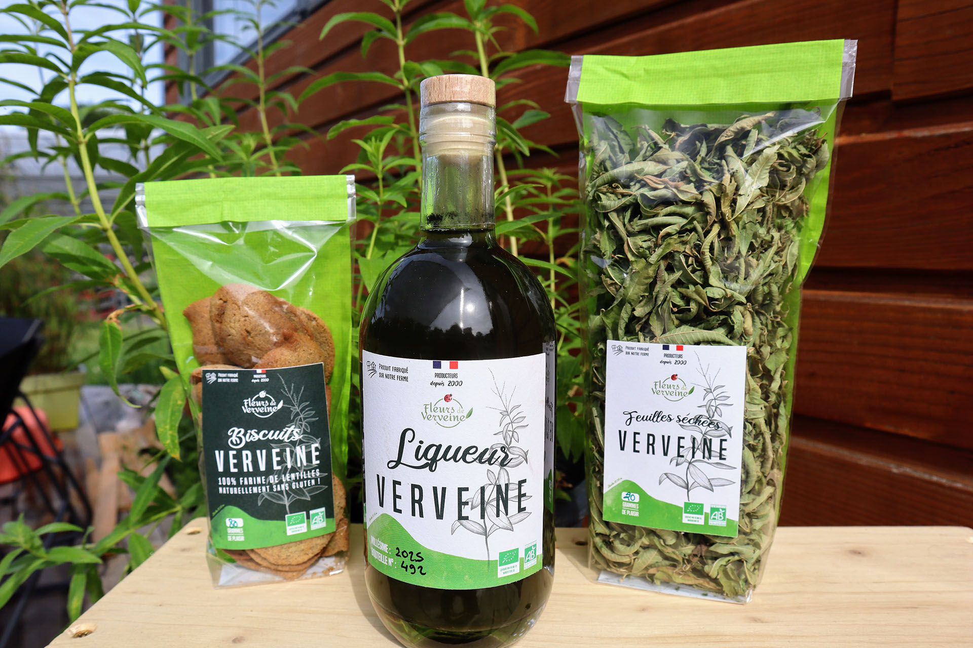 fleurs-de-verveine-velay-attractivite (6)