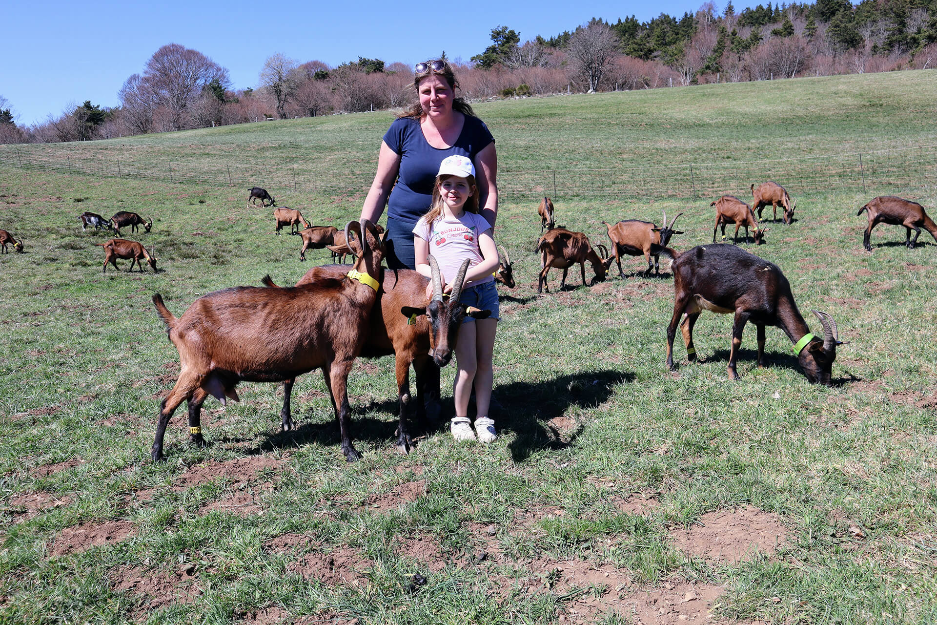 ferme-des-fayards-velay-attractivite (1)