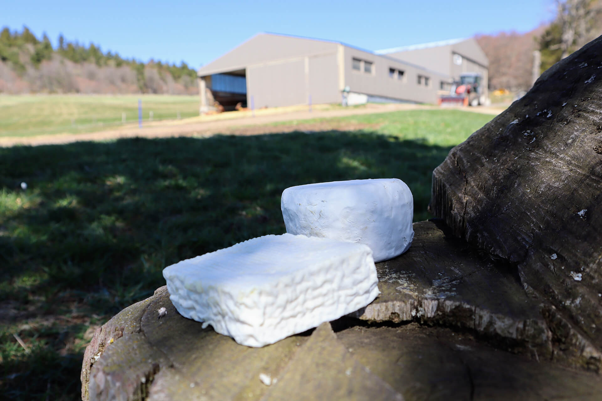 ferme-des-fayards-velay-attractivite (5)