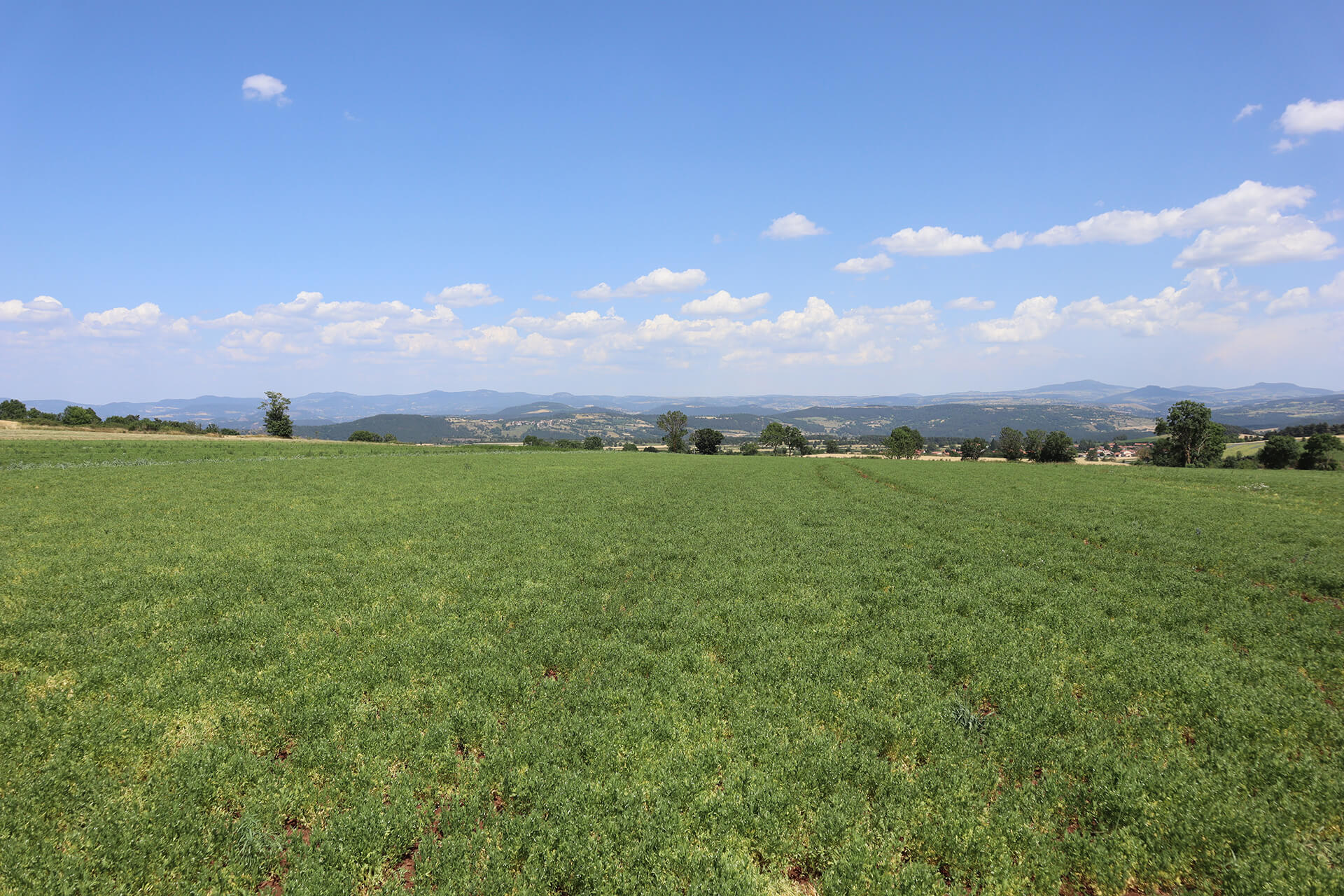 gaec-du-coucou-velay-attractivite (4)