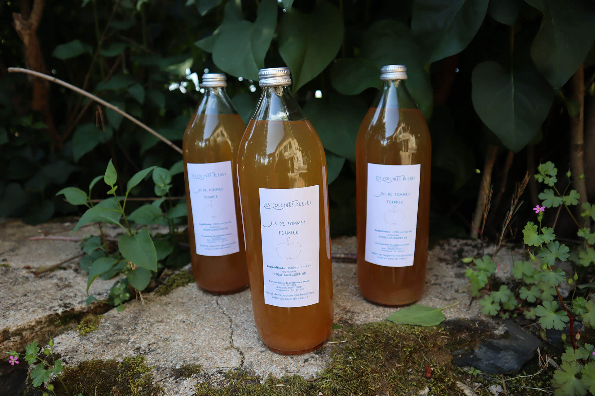 les-collines-bleues-velay-attractivite (12)